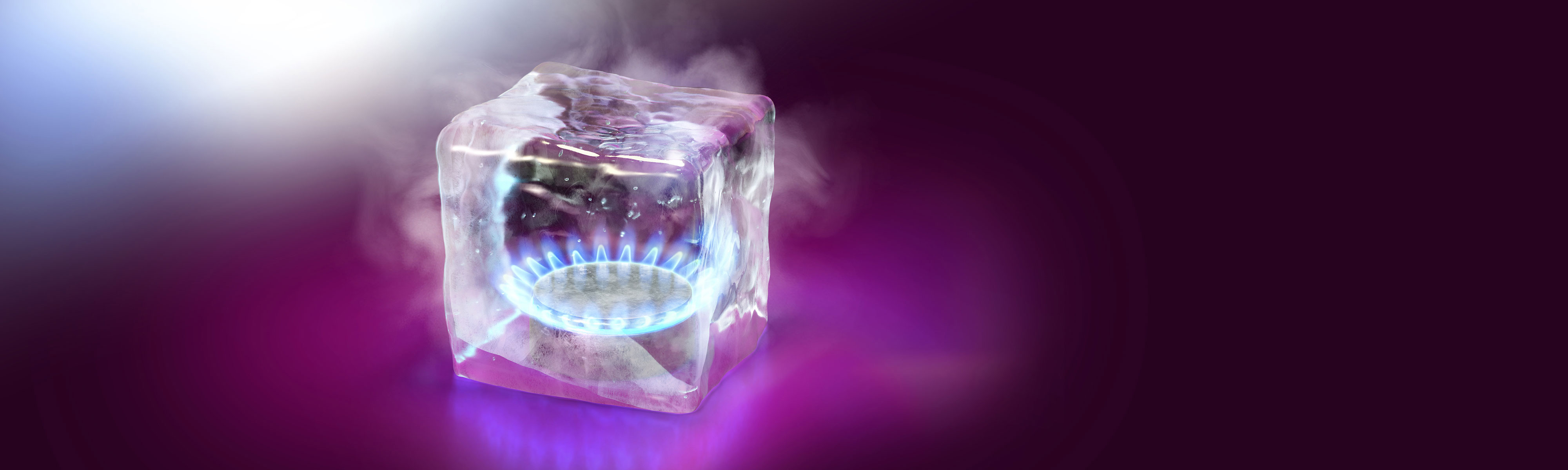 Gasherd in einem Glaswürfel vor Lilafarbenen Hintergrund